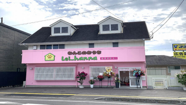 わんこのおうち Lei＿hanna｜宮崎県宮崎市吾妻町